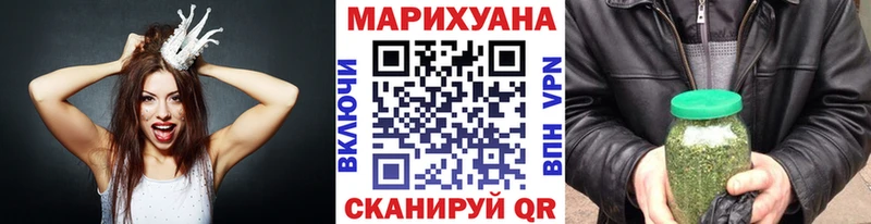 Купить закладки  Южа  Каннабис сатива 